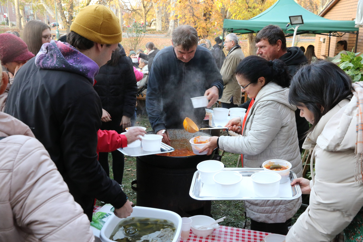 testveriseg-delutanja-2025