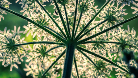 amiben-a-feltamadas-es-az-ujjaszuletes-kulonbozik