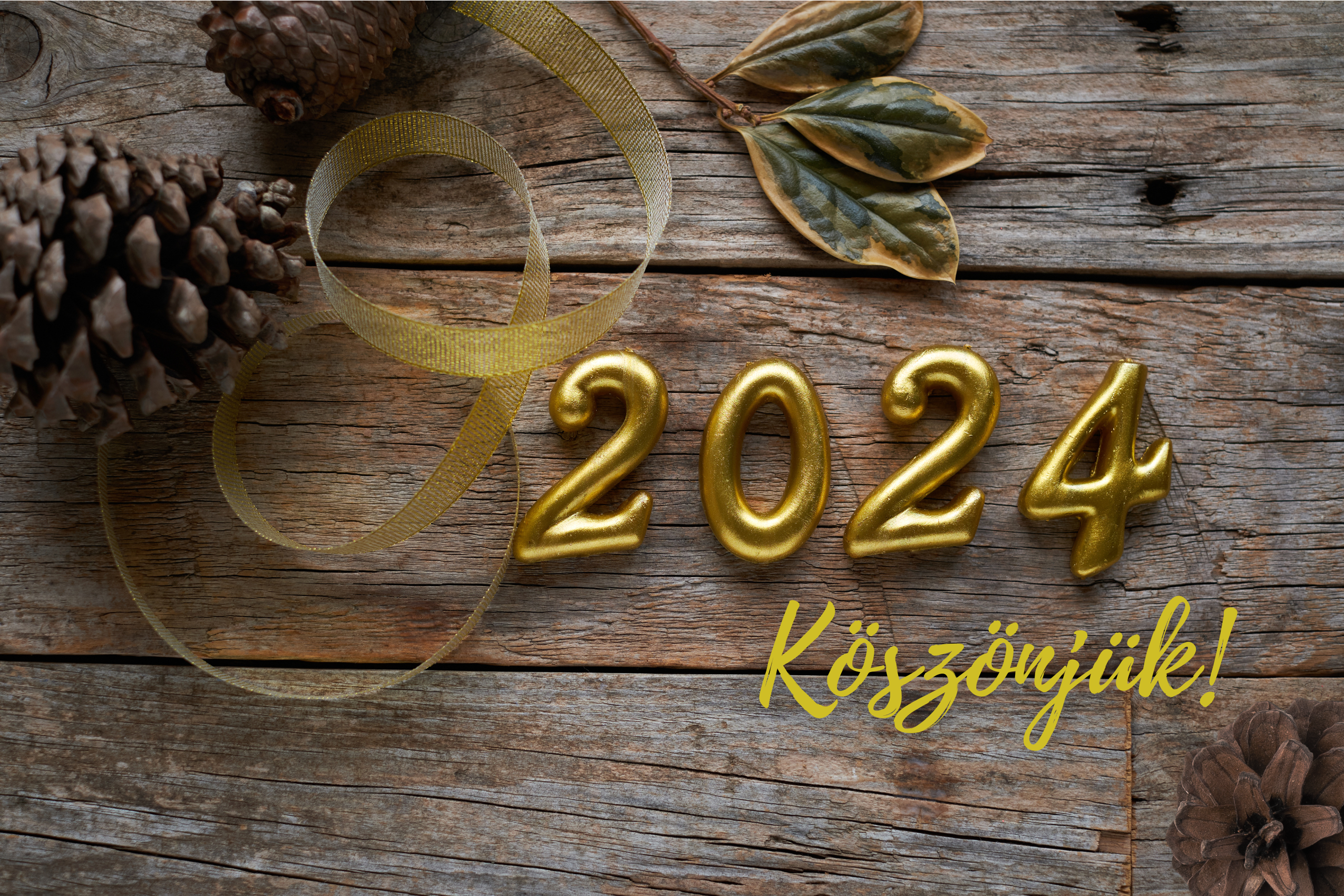 Köszönjük, Új Város 2024! koszonjuk-uj-varos-2024