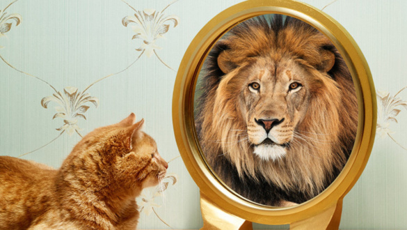 bennem-van-az-ero-onbizalmunk-utvesztoi-ii