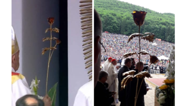 csiksomlyo-aranyrozsaja