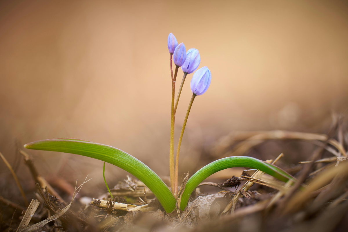 Az elegendő kultúrája – hét nap, hét gondolat az-elegendo-kulturaja-het-nap-het-gondolat