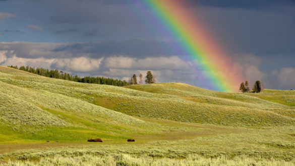 szovetseg-visszavonhatatlan-huseg